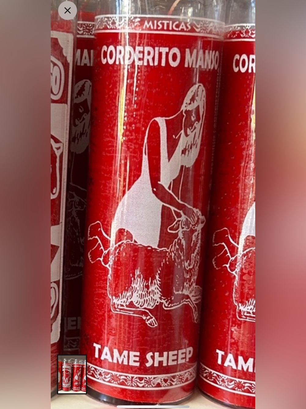 Red Tame Sheep Prayer candle for sale  each